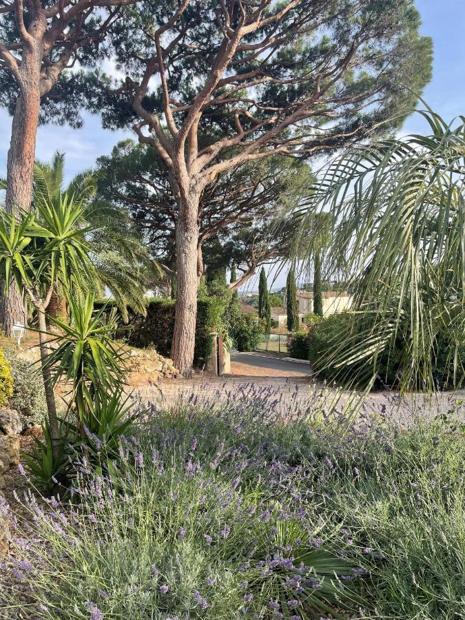 Paradis Provencal Sainte-Maxime Dış mekan fotoğraf